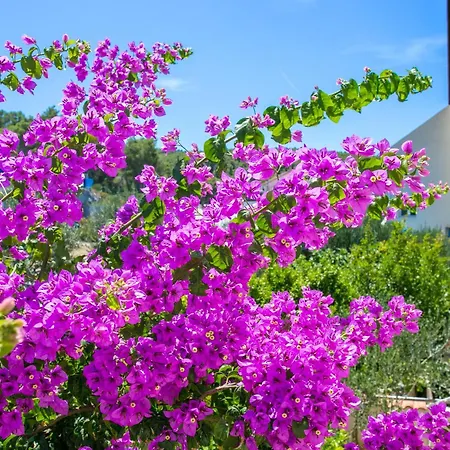 With Parking Space Supetar, Brac - 5670 Daire Supetar